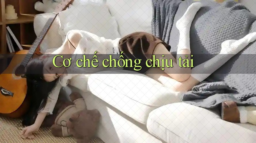 Cơ chế chống chịu tải Cơ chế chống chịu tải