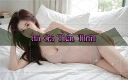đá gà Tiền thật