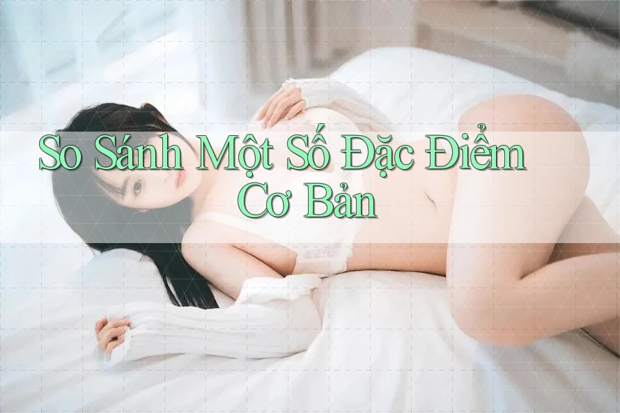 So Sánh Một Số Đặc Điểm Cơ Bản So Sánh Một Số Đặc Điểm Cơ Bản