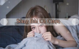 sòng bài Cá cược
