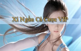 Xí ngầu Cá cược VIP