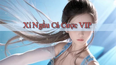 Xí ngầu Cá cược VIP